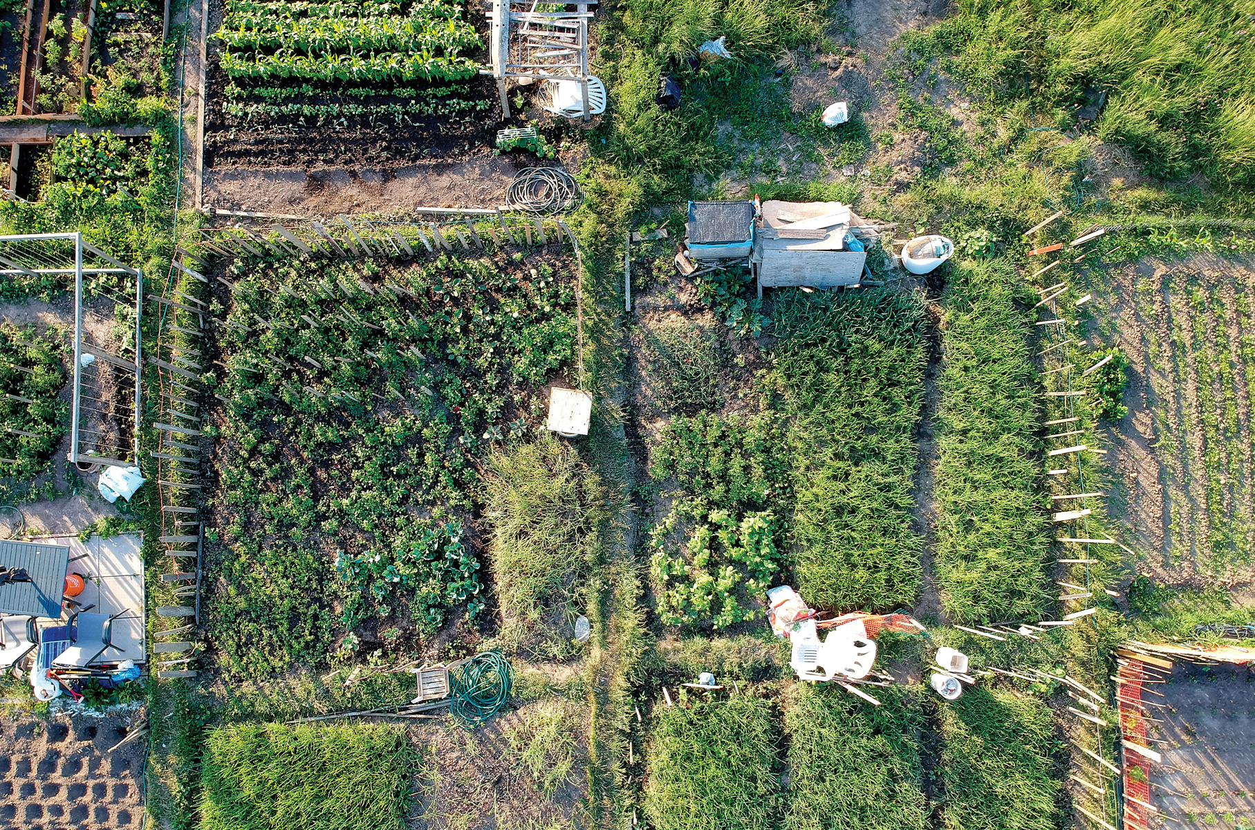 Permaculture Principles for Small Farms