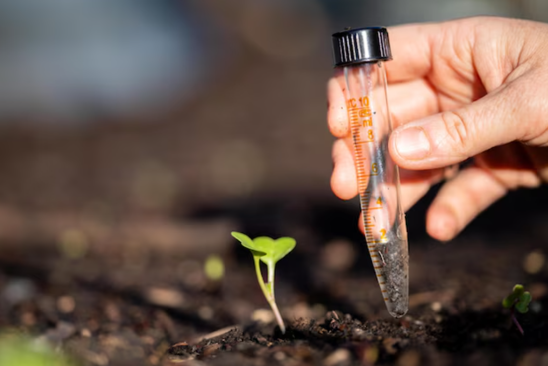 Soil Testing: The Foundation of Every Harvest