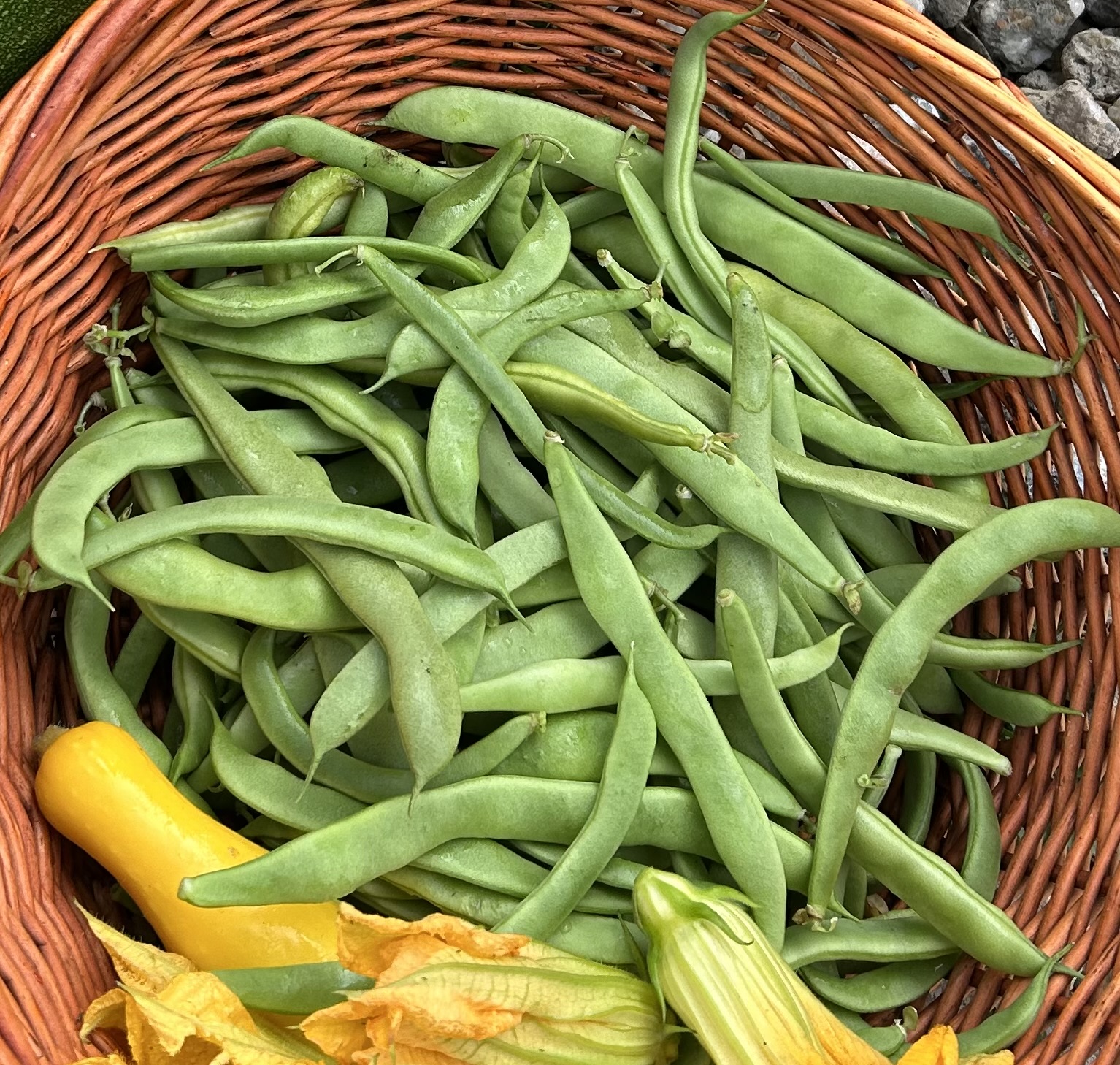 Green beans