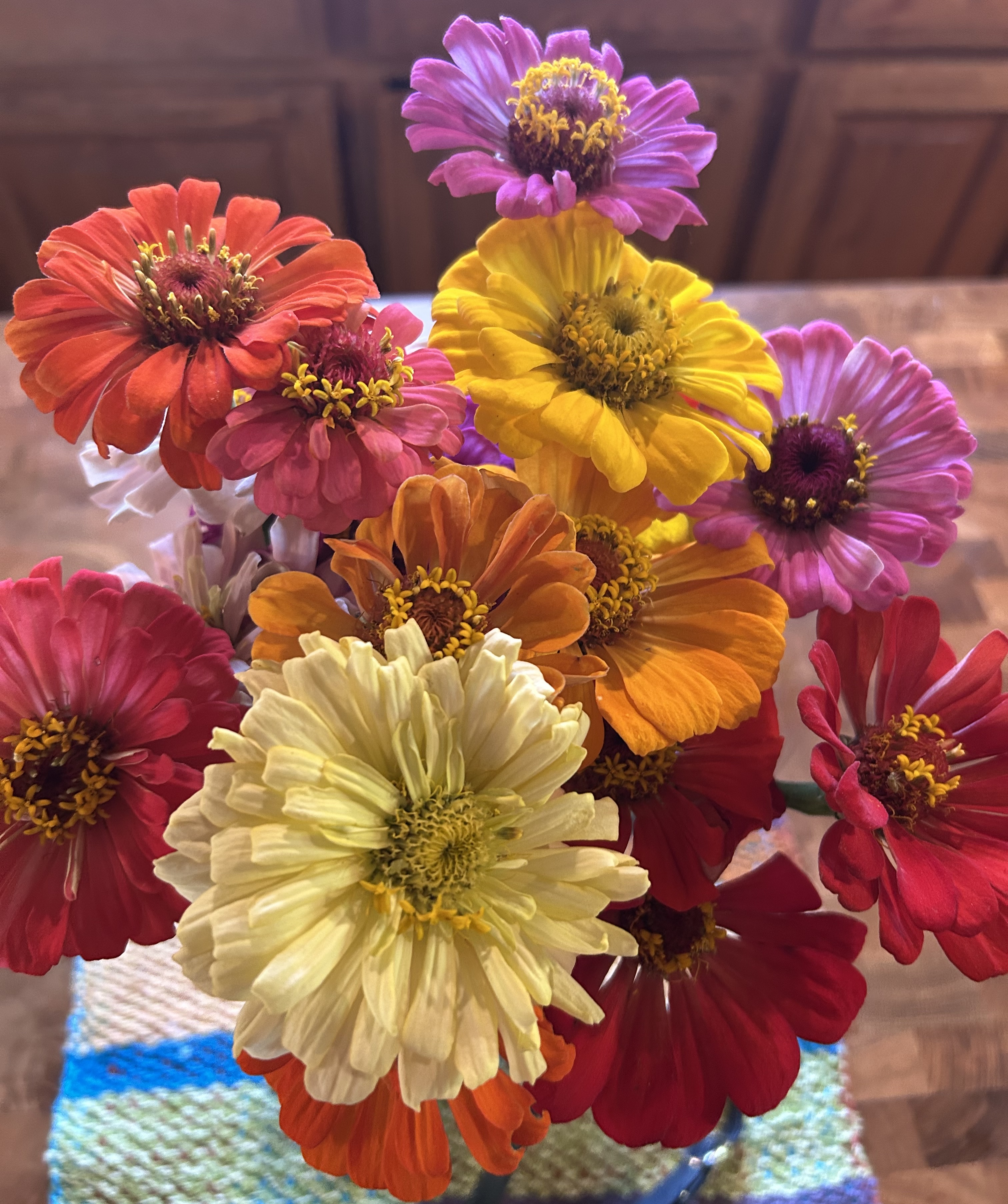 Zinnias