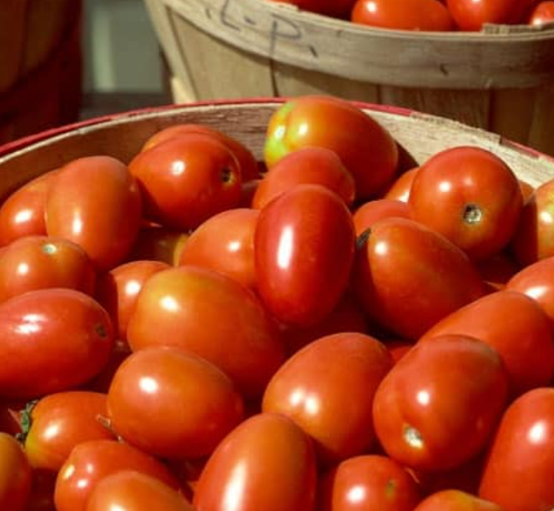Roma Tomato