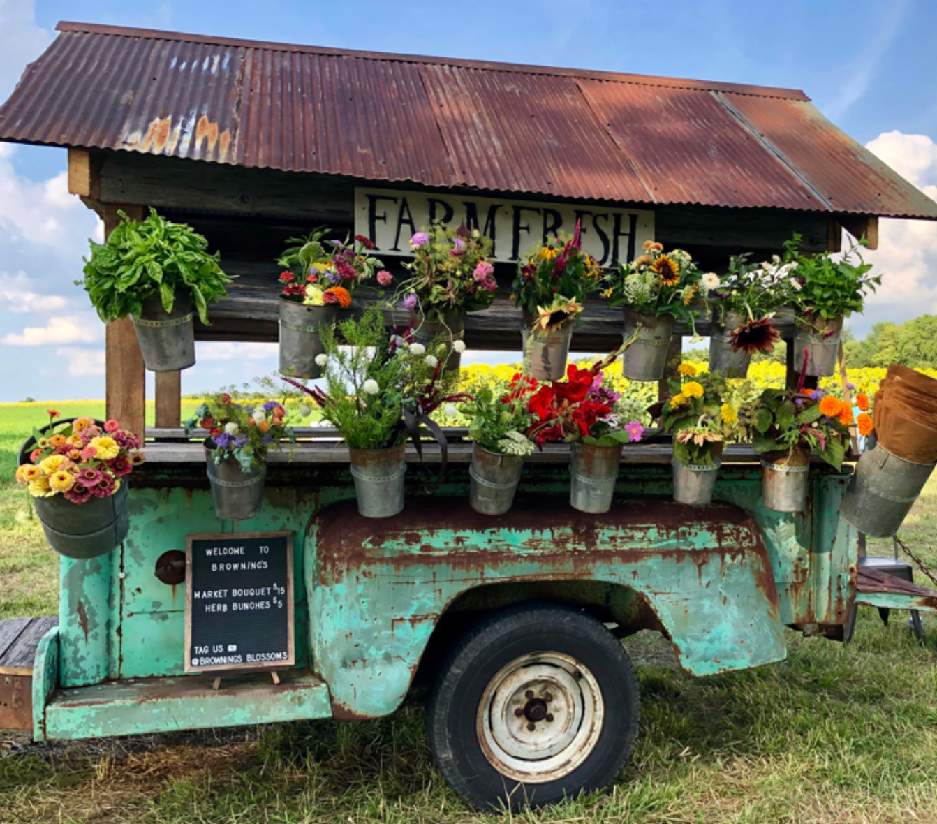 Farm Stand - Flowers